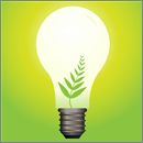 Ecological-Light-Bulb-813615
